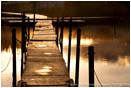 Print: Golden Dock