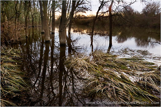 Rights Managed Stock Photo: Cosumnes River