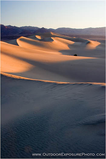 Print: Sunrise on Death Valley Sand Dunes