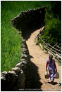 Rights Managed Stock Image: Water Delivery