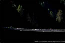 Rights Managed Stock Photo: Illuminated Suspension Bridge
