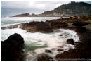 Royalty Free Stock Photo: Rocky Beach At Yachats