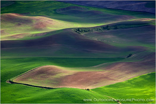 Royalty Free Stock Photo: Palouse In Spring II