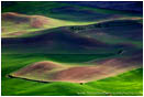 Royalty Free Stock Photo: Palouse In Spring II