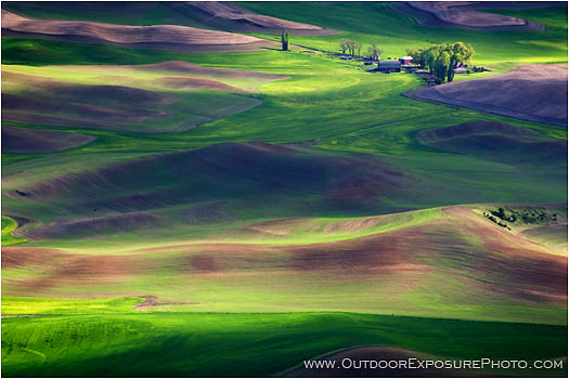 Rights Managed Stock Photo: Palouse In Spring III