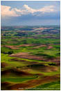 Royalty Free Stock Photo: View From Steptoe Butte