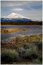 Royalty Free Stock Photo: Tarn Below Mt. Shasta