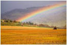 Royalty Free Stock Photo: Rainbow And Tractor