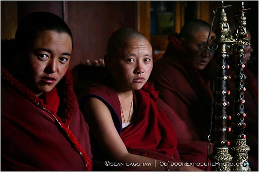 Rights Managed Stock Image: Thamo Nuns