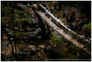 Print: Suspension Bridge Over The Dudh Kosi
