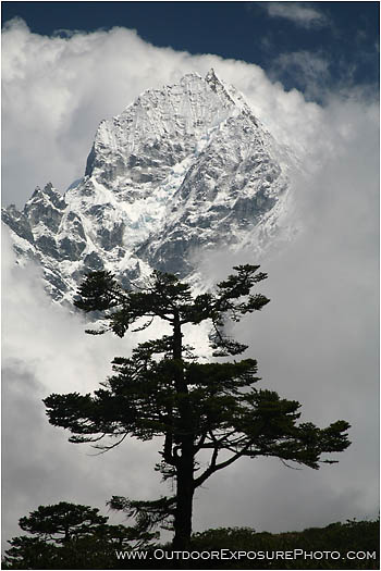 Print: Thamserku And Tree