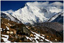 Print: Yak Train Below Cho Oyu