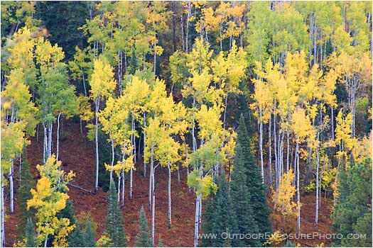 Color Shift Stock Image, Colorado