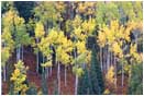 Color Shift Stock Image, Colorado
