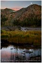 Royalty Free Stock Photo: Moon Over Deadfall Lake
