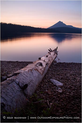 Print: Dead Log And Mt. McLoughlin