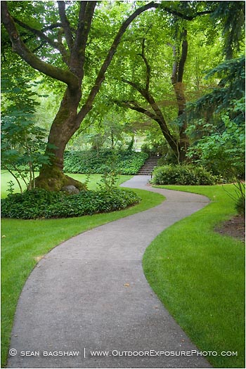 Royalty Free Stock Photo: Winding Path In Lithia Park