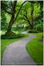 Royalty Free Stock Photo: Winding Path In Lithia Park
