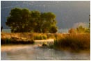 Print: Lost River