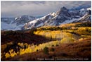 Rights Managed Stock Photo: Dallas Divide Aspen