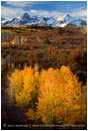 Rights Managed Stock Photo: Sneffels Range in Fall