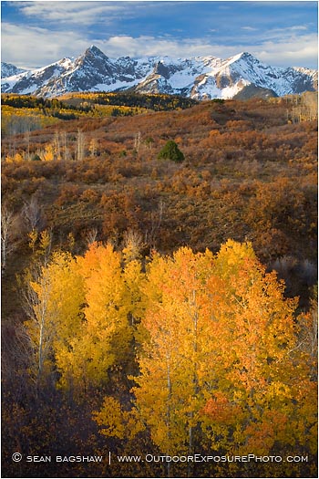 Print: Sneffels Range in Fall