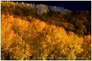 Rights Managed Stock Photo: Aspen Wave