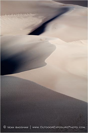 Print: Dune Line