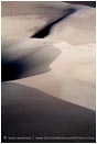 Print: Dune Line