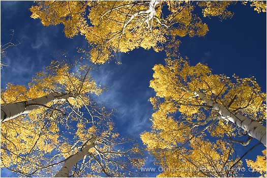 Aspen Sky Stock Image, Colorado