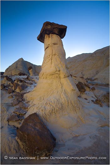 Rights Managed Stock Photo: Yellow Toadstool Hoodoo