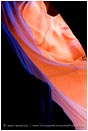Rights Managed Stock Photo: Glowing Sandstone in Antelope Canyon