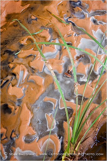Rights Managed Stock Photo: Silty Stream Bed