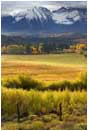 Royalty Free Stock Photo: Pastureland on the Dallas Divide
