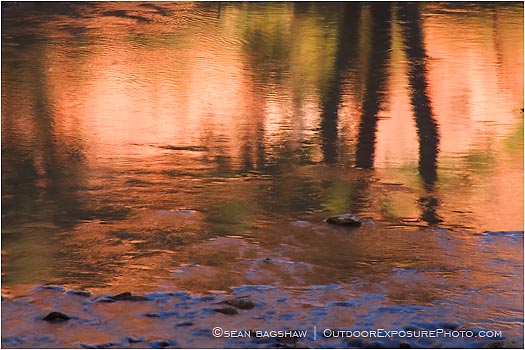 Print: Zion Reflection