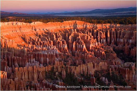 Rights Managed Stock Photo: First light on Bryce Canyon