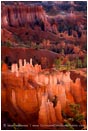 Print: Bryce Hoodoos II