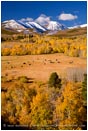 Royalty Free Stock Photo: Fall Pasture in the Sierra