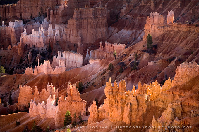 Print: Bryce Hoodoos