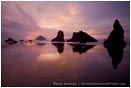 Sea Stacks at Sunset Print
