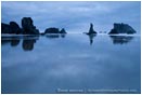 Royalty Free Stock Photo: Bandon Beach 1