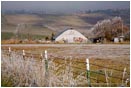 Royalty Free Stock Photo: Barn 1