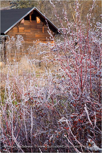 Royalty Free Stock Photo: Barn 2