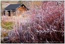 Royalty Free Stock Photo: Barn 3