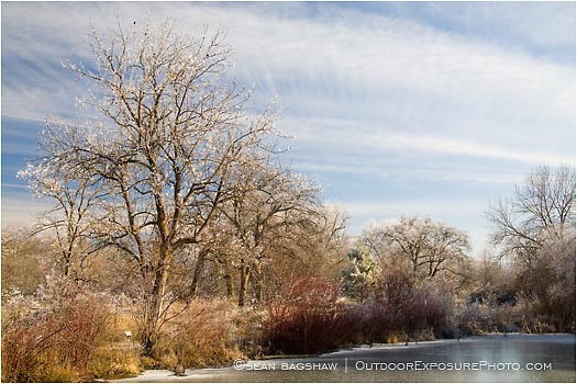 Royalty Free Stock Photo: Ice Covered Pond