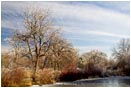 Royalty Free Stock Photo: Ice Covered Pond
