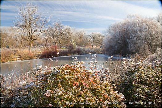 Royalty Free Stock Photo: Ice Covered Pond 2
