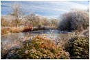 Royalty Free Stock Photo: Ice Covered Pond 2