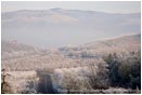 Royalty Free Stock Photo: Orchard Landscape 1