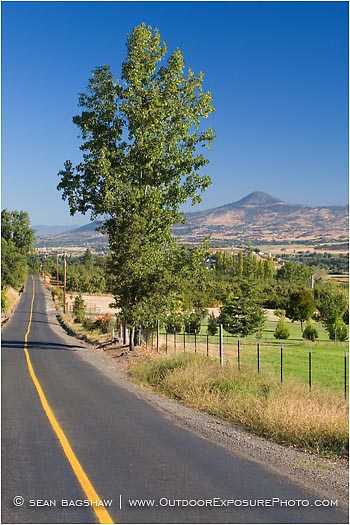 Royalty Free Stock Photo: Country Road 1